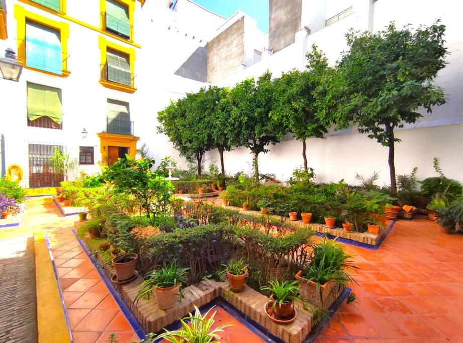 Plaza Cristo De Burgos Lägenhet Sevilla Exteriör bild